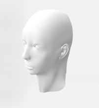 Screenshot von Jonatan Grimms 3D-Kopfmodell